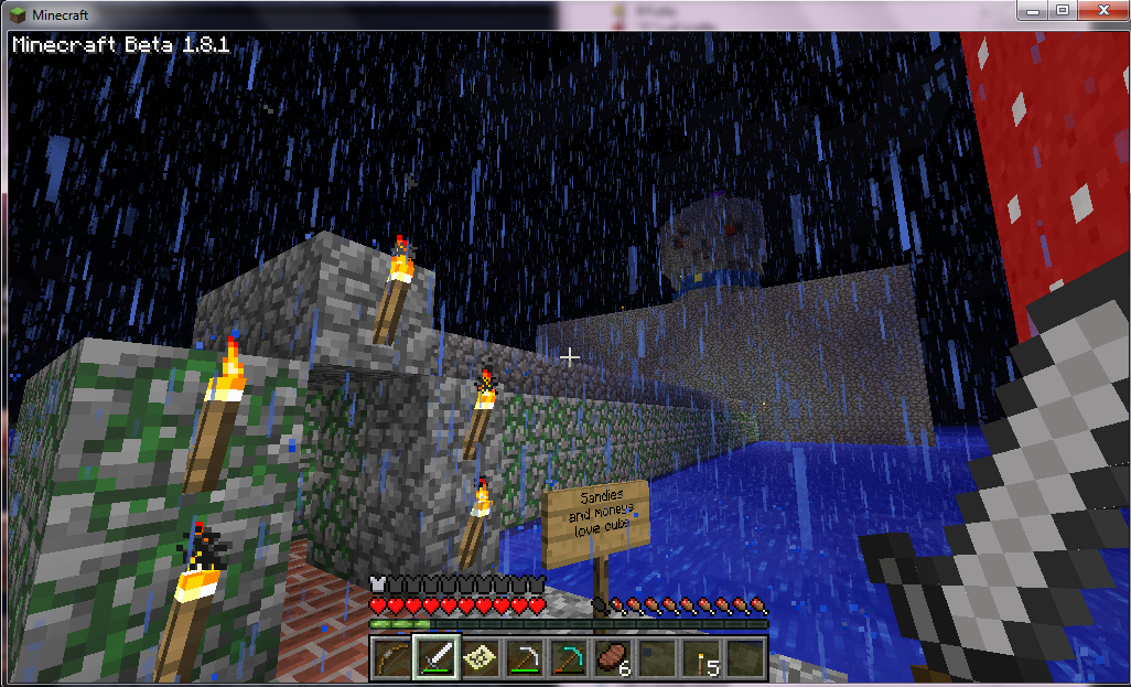 minecraft1.png